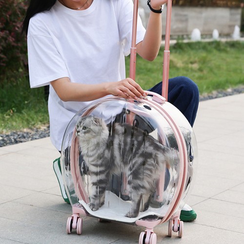 Cat trolley case borsa - 2,