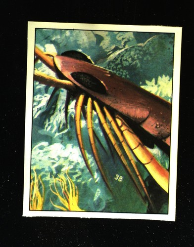 Animali preistorici - preistorici, (1974)