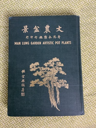 Vintage man lung garden - vintage,