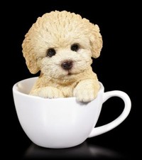 Cane tazza barboncino - tazza,
