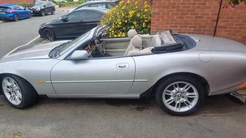Dado ruota jaguar xk8 2001 - dado,