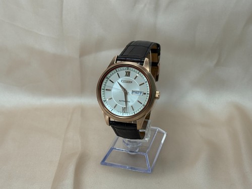 New citizen ny405216a - citizen,