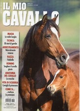 Il Mio Cavallo 2018 4.Fattrice e puledro arabi