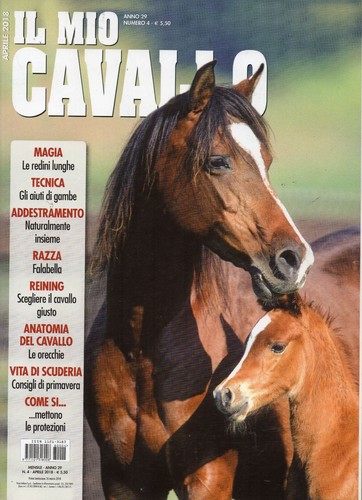Mio cavallo 2018 - il,