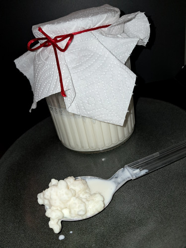Kefir latte giganti - di,