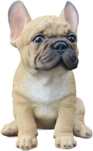Vivid arts bulldog francese - arts,