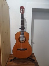 Chitarra elettrica - modello