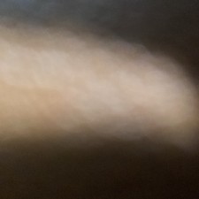 Casetta per animali da esterno