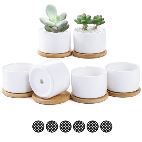 Vasi ceramica 1 cm - in,