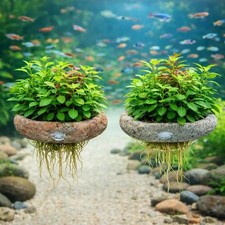 Porta Fioriera Acquario Parete