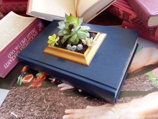 librovaso "Il trono di legno"