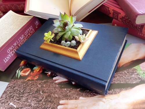 Librovaso trono legno - trono, di