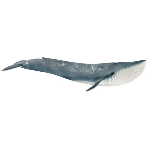 Schleich wild life blue - life, whale