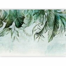 Foglie monstera botanica - foglie,