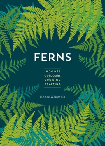 Ferns indoors outdoors - -,