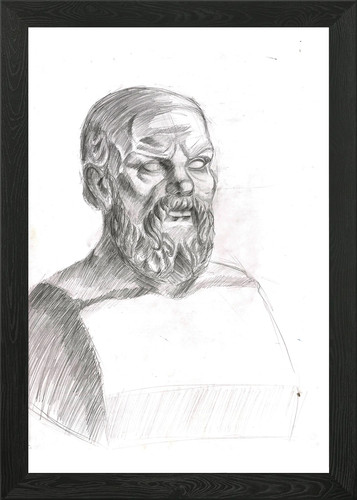 Scultura testa disegno