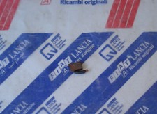 Spazzola Carboncino Motorino