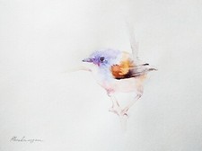 Scrittoio delle fate