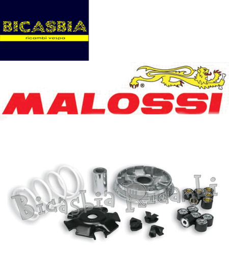 5048 variatore malossi - 5048,