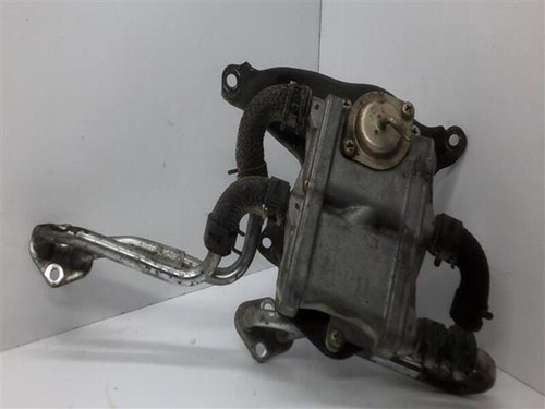 Raffreddatore gas scarico - raffreddatore,