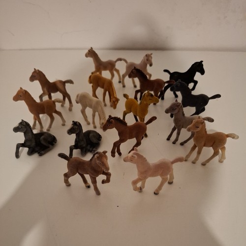 Cuccioli cerca amici puledri - cuccioli,