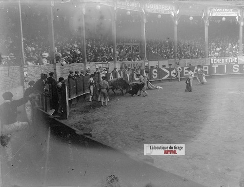 Corrida toro arena - corrida,, torero