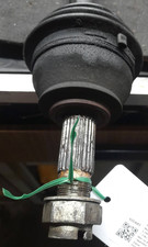 51771729 Semialbero ant