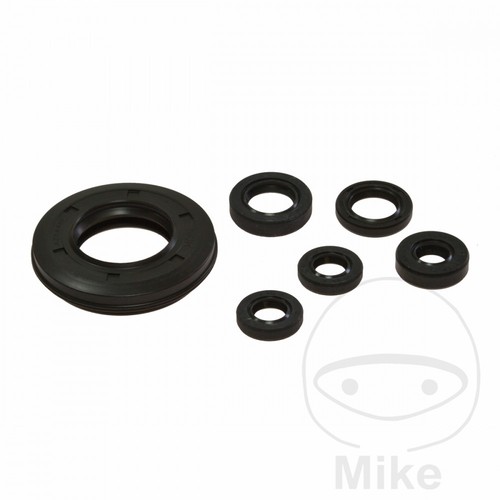 Set guarnizioni motore per