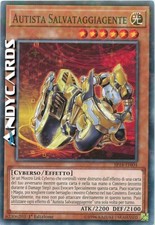 AUTISTA SALVATAGGIAGENTE