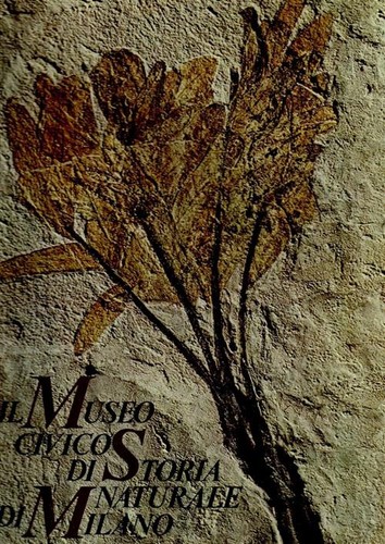 Museo civico storia - il, di