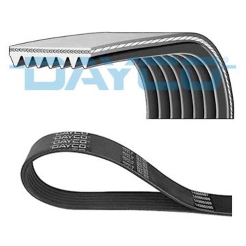 Dayco cinghia scanalata - dayco,