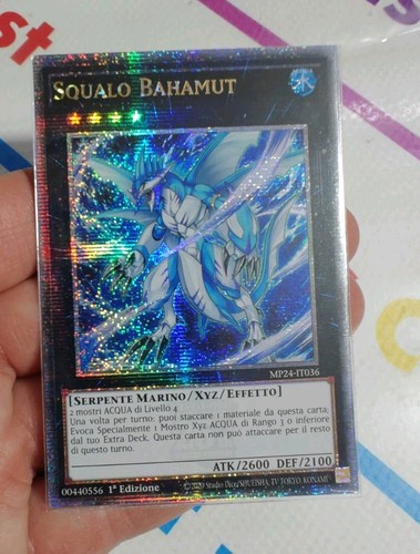 Squalo bahamut - bahamut, (bahamut