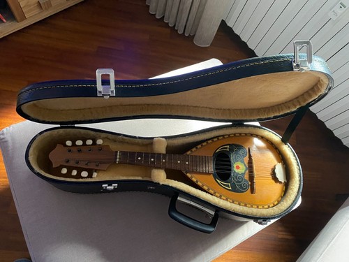 Mandolino storico liutaio - storico:,