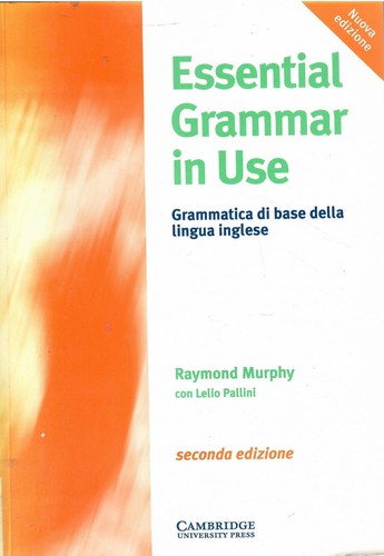 Essential grammar use - essential, in