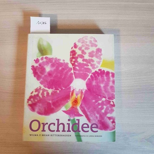 Orchidee rittershausen - orchidee,