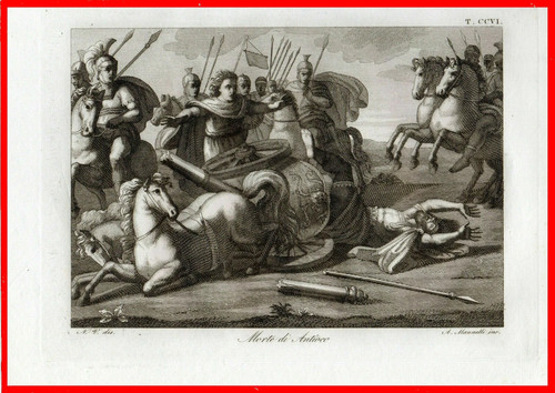 Stampe antiche originali morte - antiche,