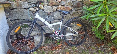 Bicicletta anni btwin 24 - bicicletta,