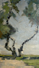 Alberi, natura, paesaggio