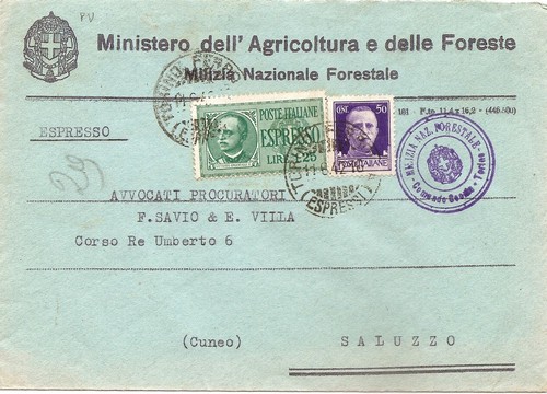 Milizia nazionale forestale - nazionale,