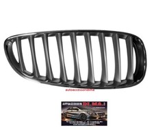 GRIGLIA PARAURTI ANTERIORE DX