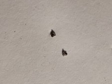 PIAGET 9P-9P1-9P2 - PIECES