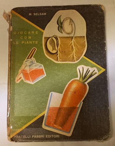 Libro vintage piccola - libro,