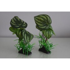 Acquario 2 X Rosso/Verde Seta