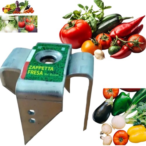 Testina zappetta fresa - ,