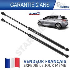 2 Pistoni Di Apertura Del