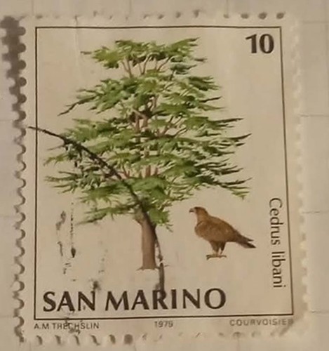 Francobollo san marino albero - san, marino-albero