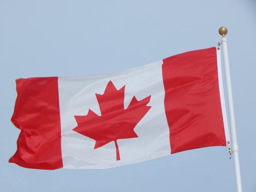 Canadian flag 3x6 100d - flag,