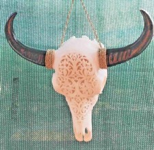 Testa di bufalo piccola, bull skull, teschio di toro mini, cráneo del toro, crâne de taureau