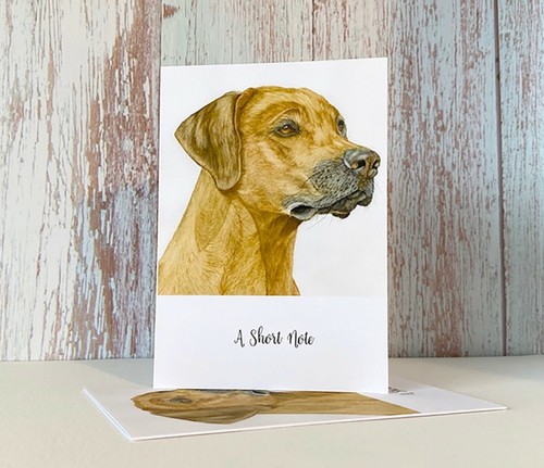 Rhodesian ridgeback dog - ridgeback,