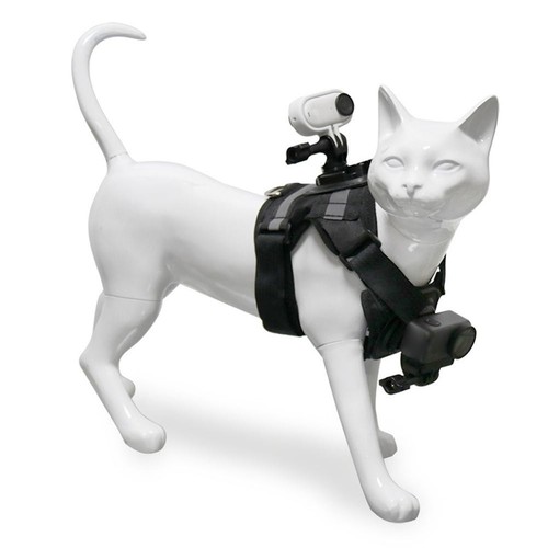 Kit completo gilet fotografico